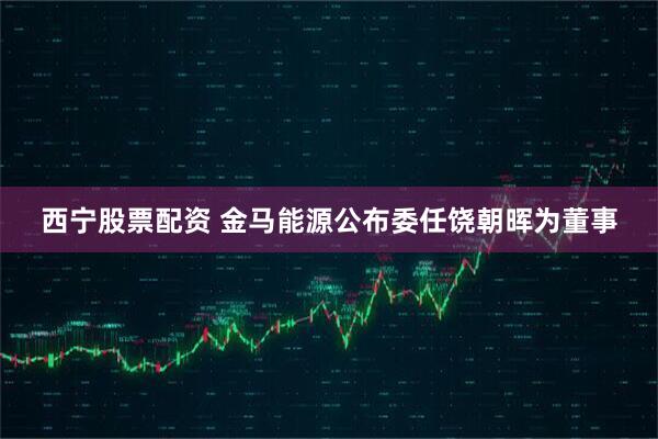 西宁股票配资 金马能源公布委任饶朝晖为董事