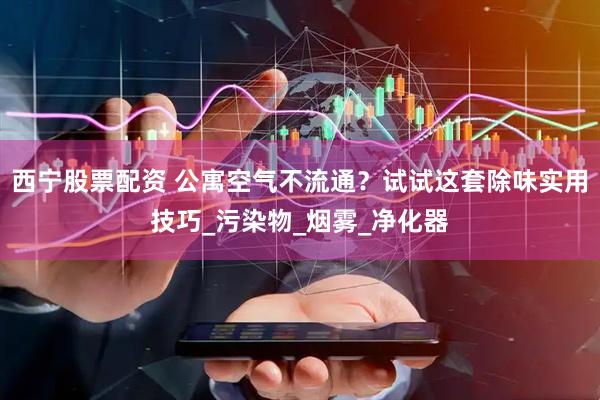 西宁股票配资 公寓空气不流通？试试这套除味实用技巧_污染物_烟雾_净化器